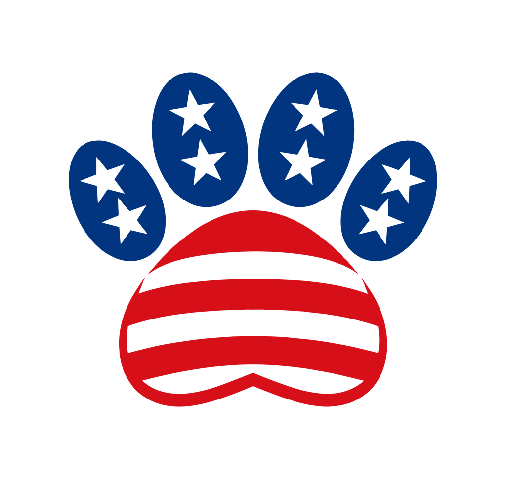 Patriotic T-Shirts | American Pride Graphic Tees