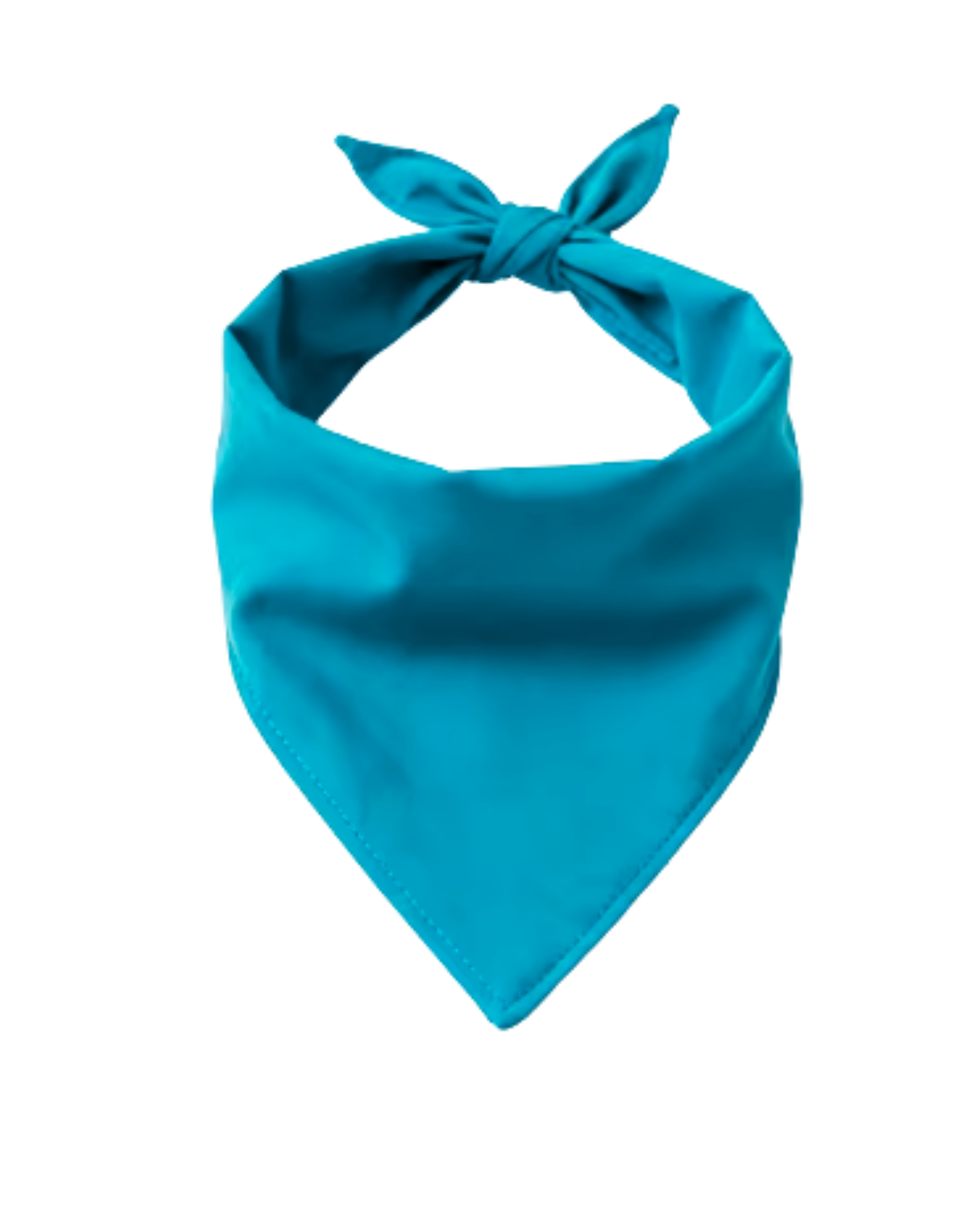 Call Me Pretty Dog Bandana | Pet Accessory – Ignite Studio