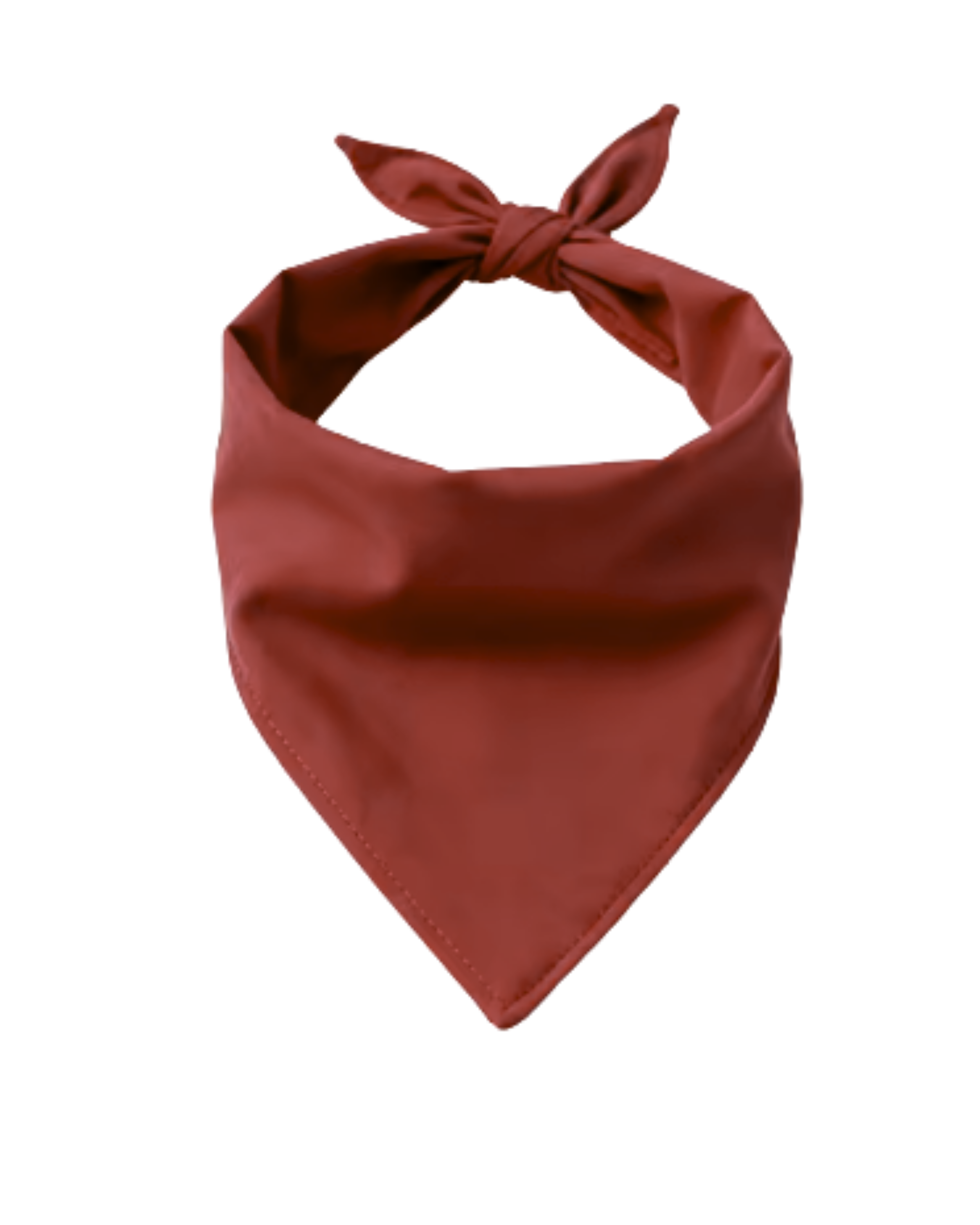 Sock Thief Dog Bandana | Personalized Pet Accessory – Ignite Studio