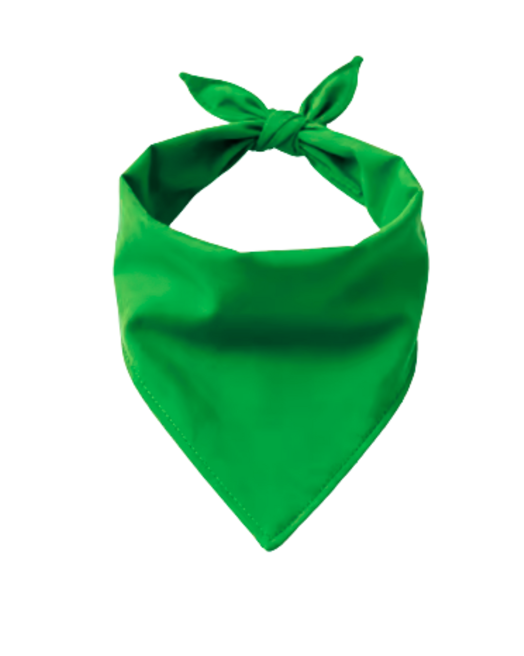 Big Bones Dog Bandana | Personalized Pet Accessory – Ignite Studio