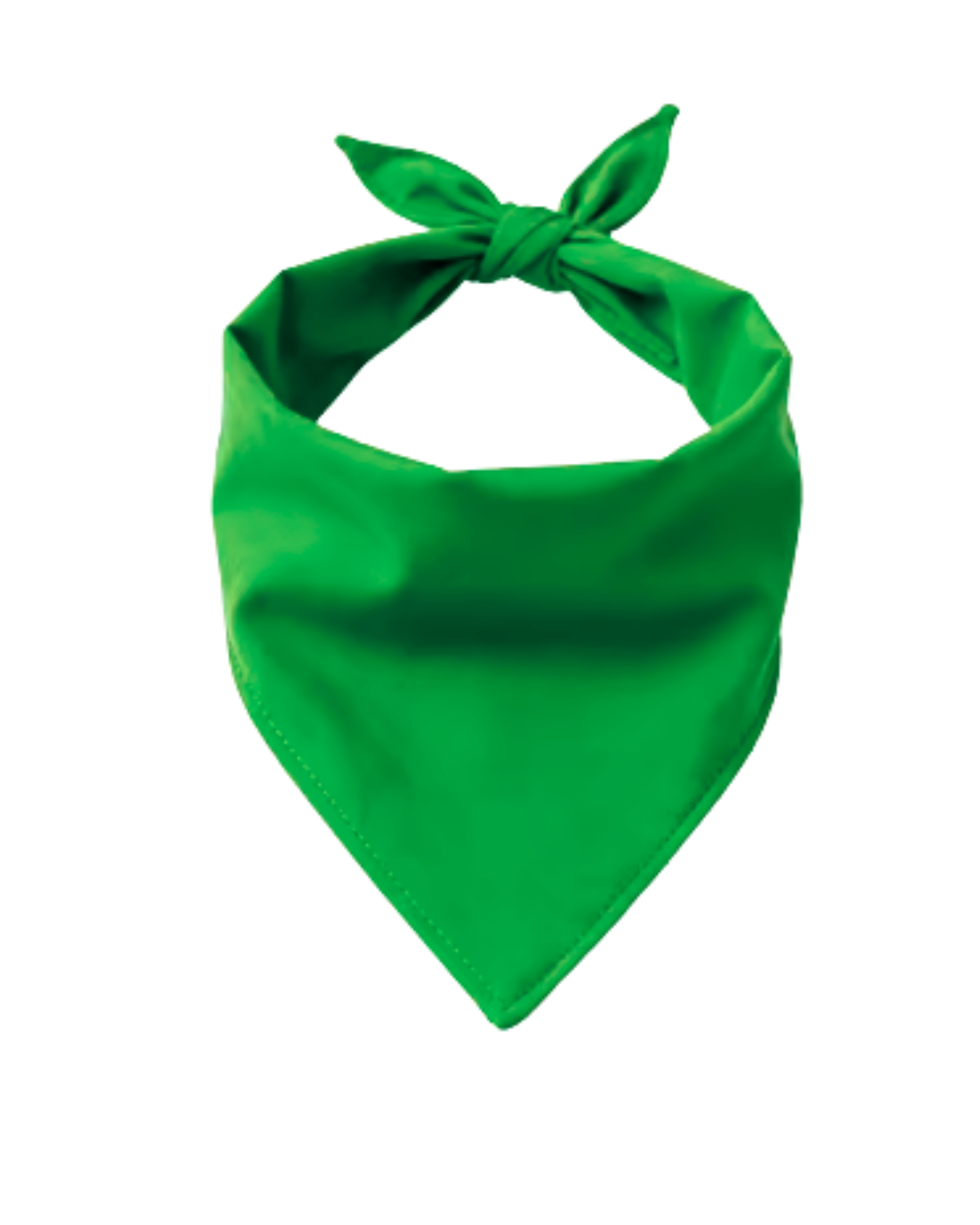 Big Bones Dog Bandana | Personalized Pet Accessory – Ignite Studio