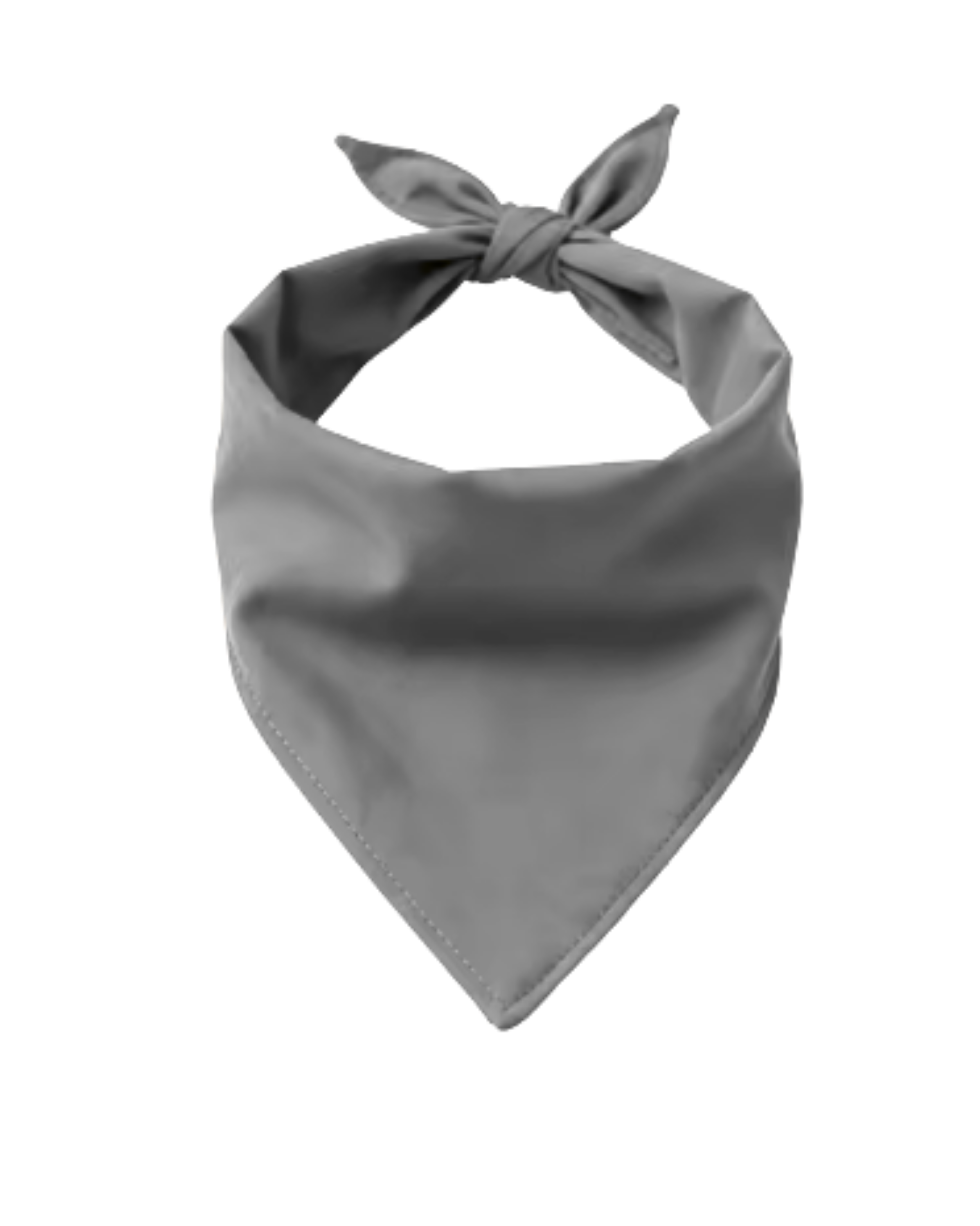 Big Bones Dog Bandana | Personalized Pet Accessory – Ignite Studio