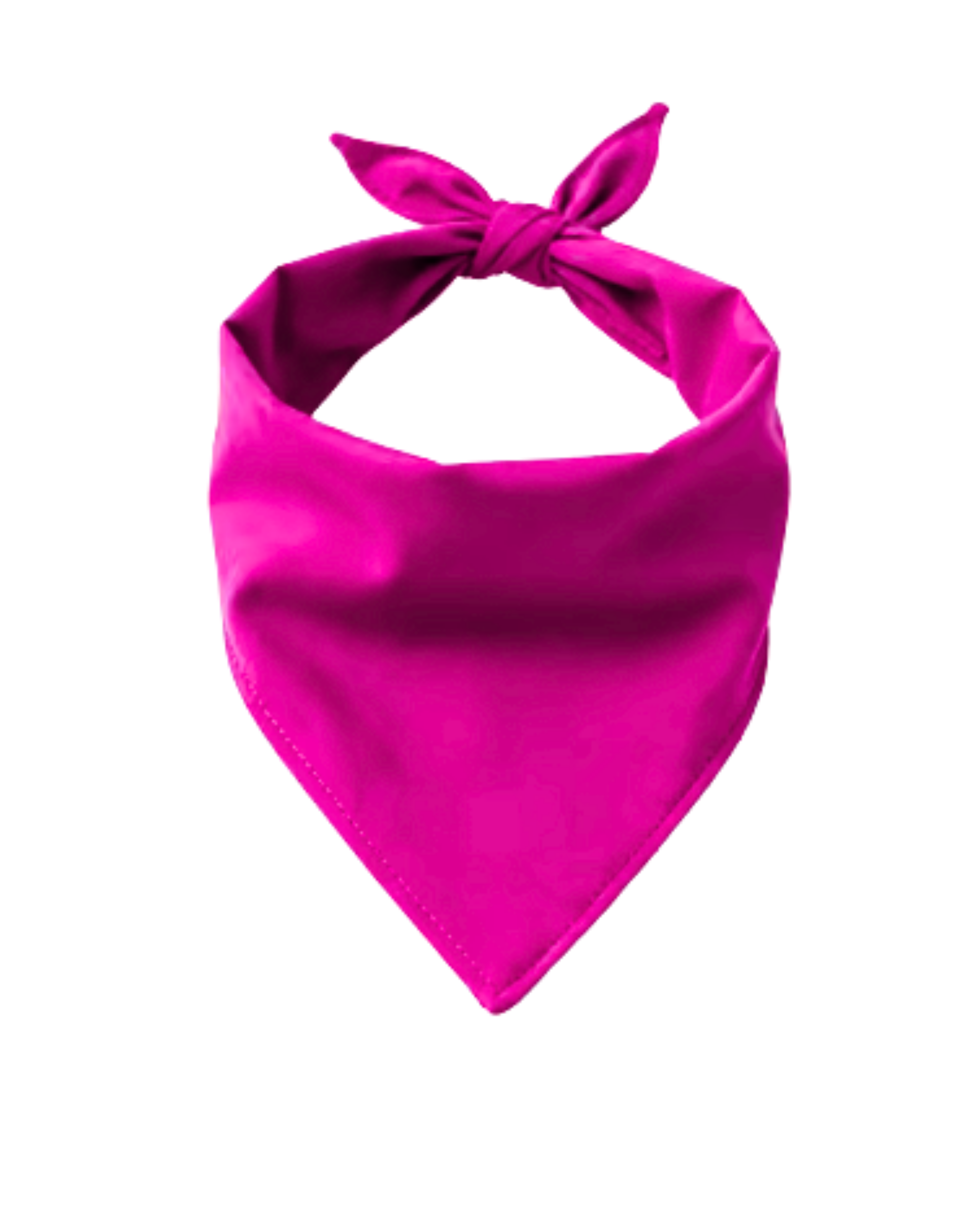 Big Bones Dog Bandana | Personalized Pet Accessory – Ignite Studio