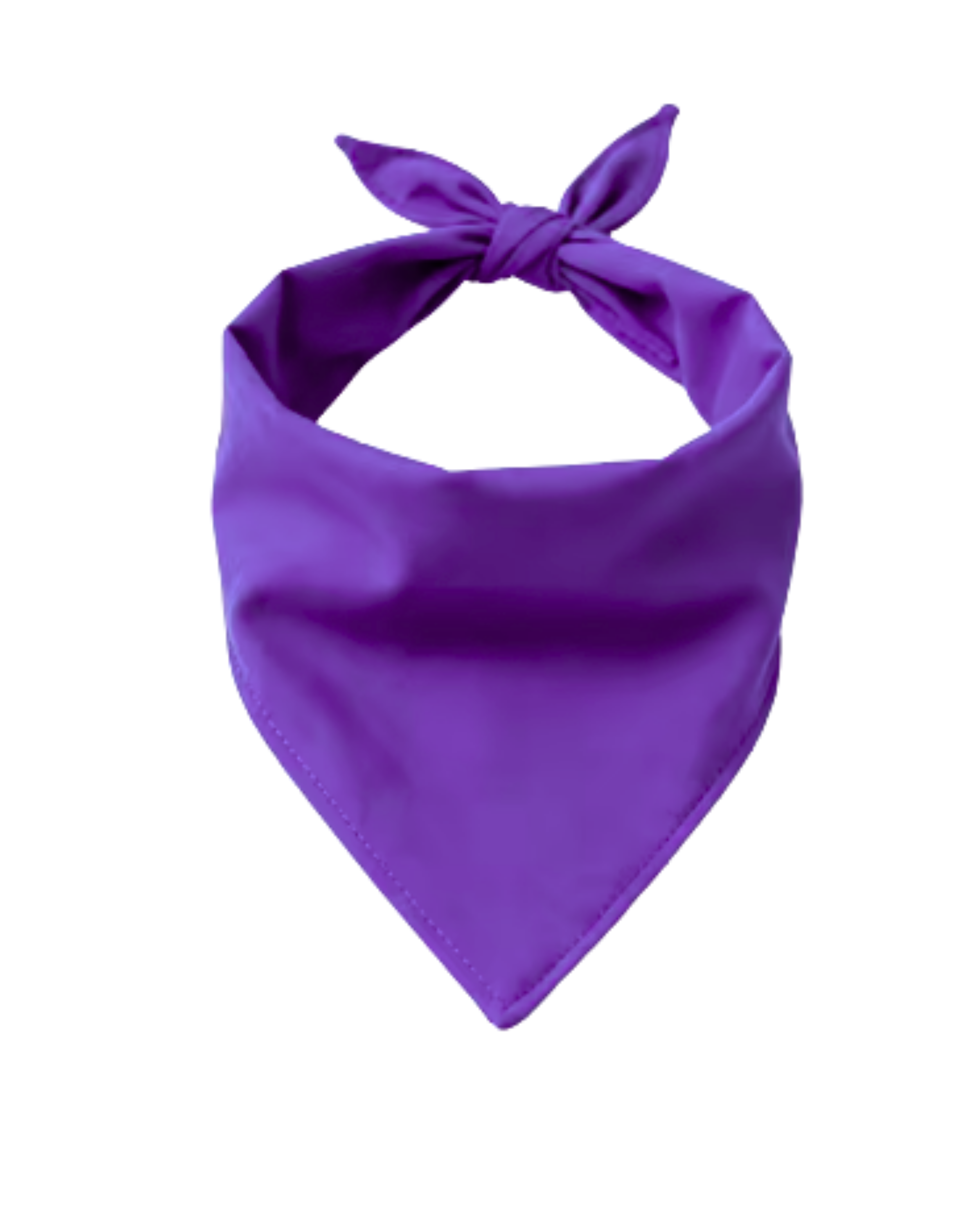 Big Bones Dog Bandana | Personalized Pet Accessory – Ignite Studio