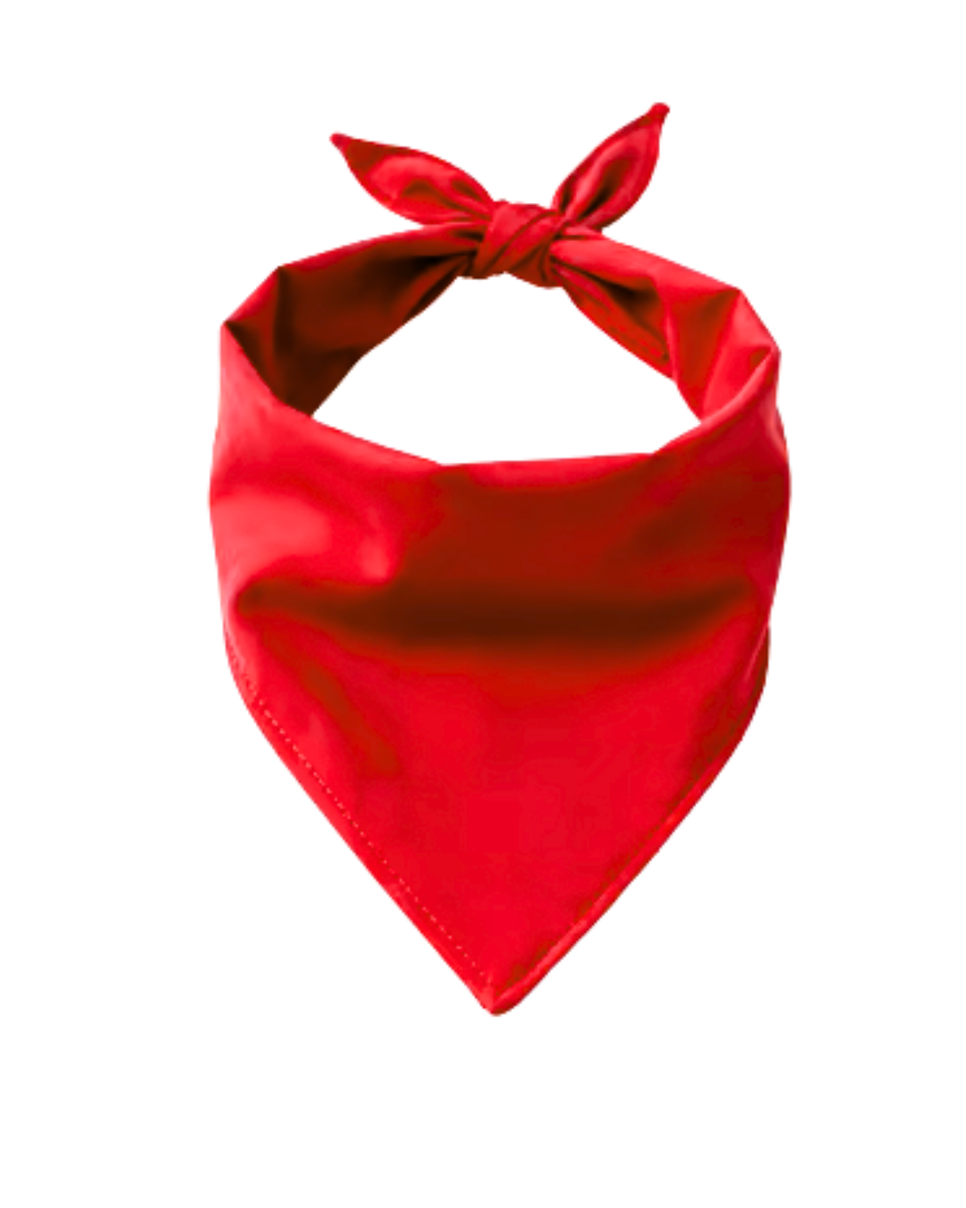 Big Bones Dog Bandana | Personalized Pet Accessory – Ignite Studio
