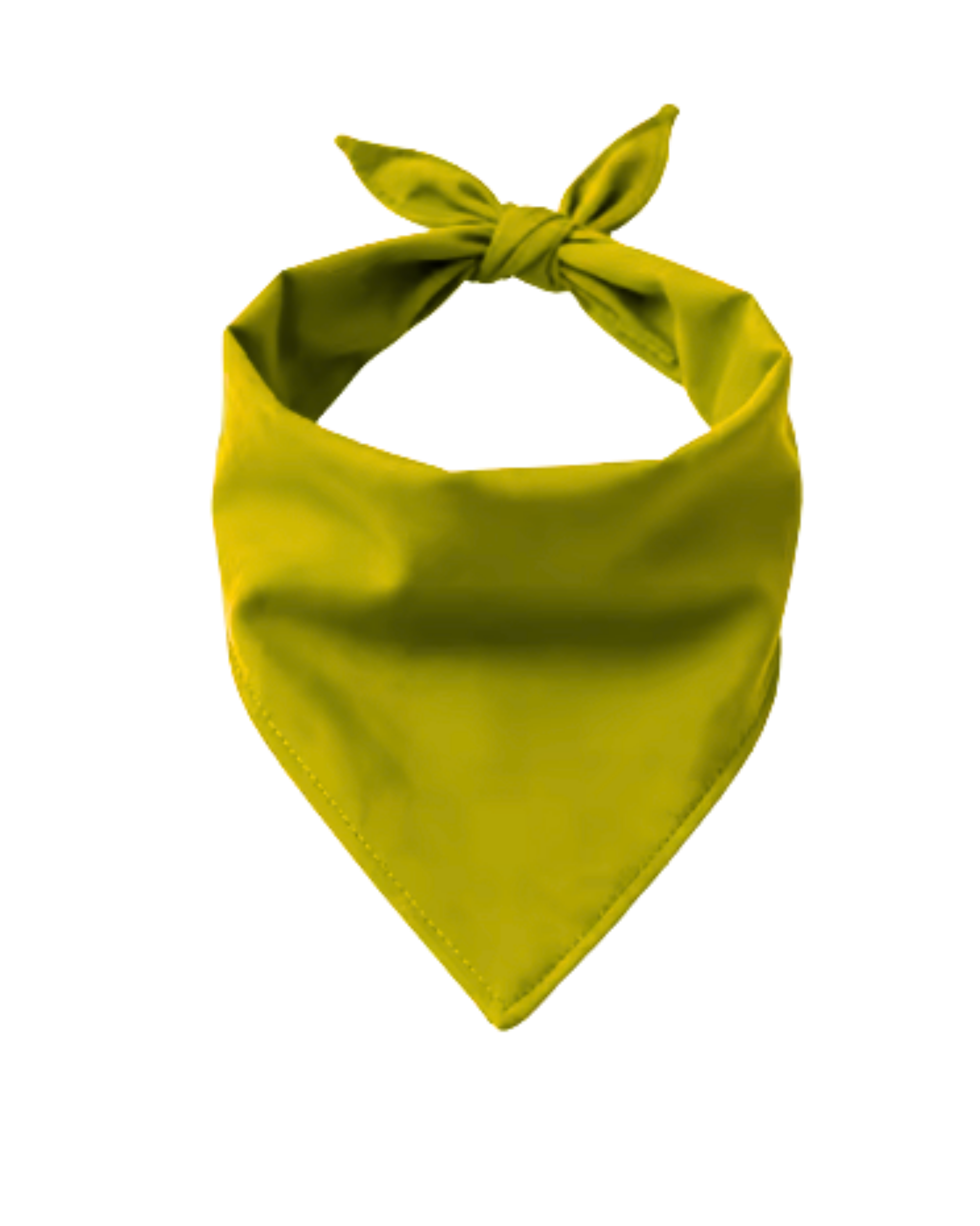 Big Bones Dog Bandana | Personalized Pet Accessory – Ignite Studio